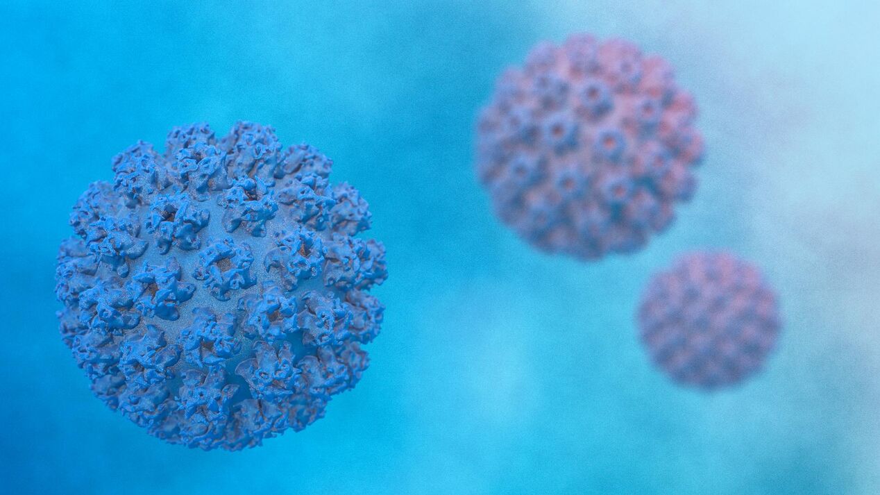 Papiloma virus